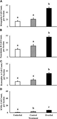 Malnutrition alters protein expression of KNDy neuropeptides in the arcuate nucleus of mature ewes